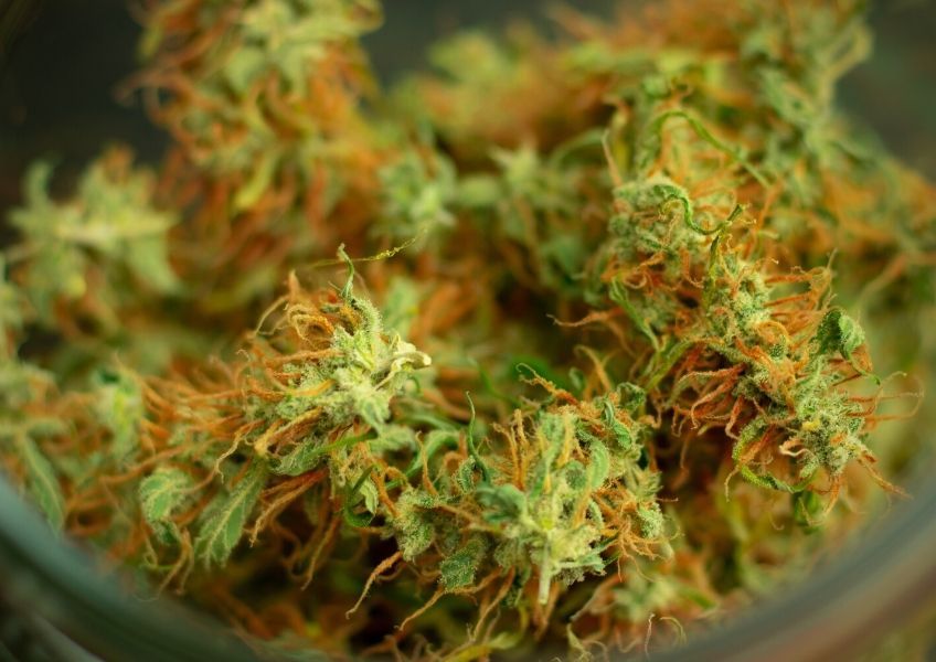 Tetrahydrocannabinol