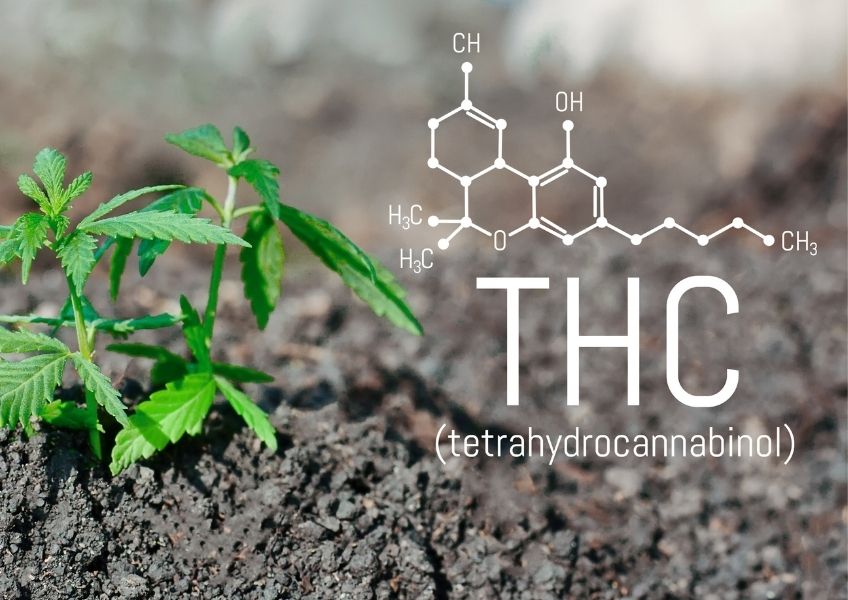 Tetrahydrocannabinol