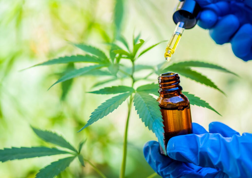 liveresin คืออะไร