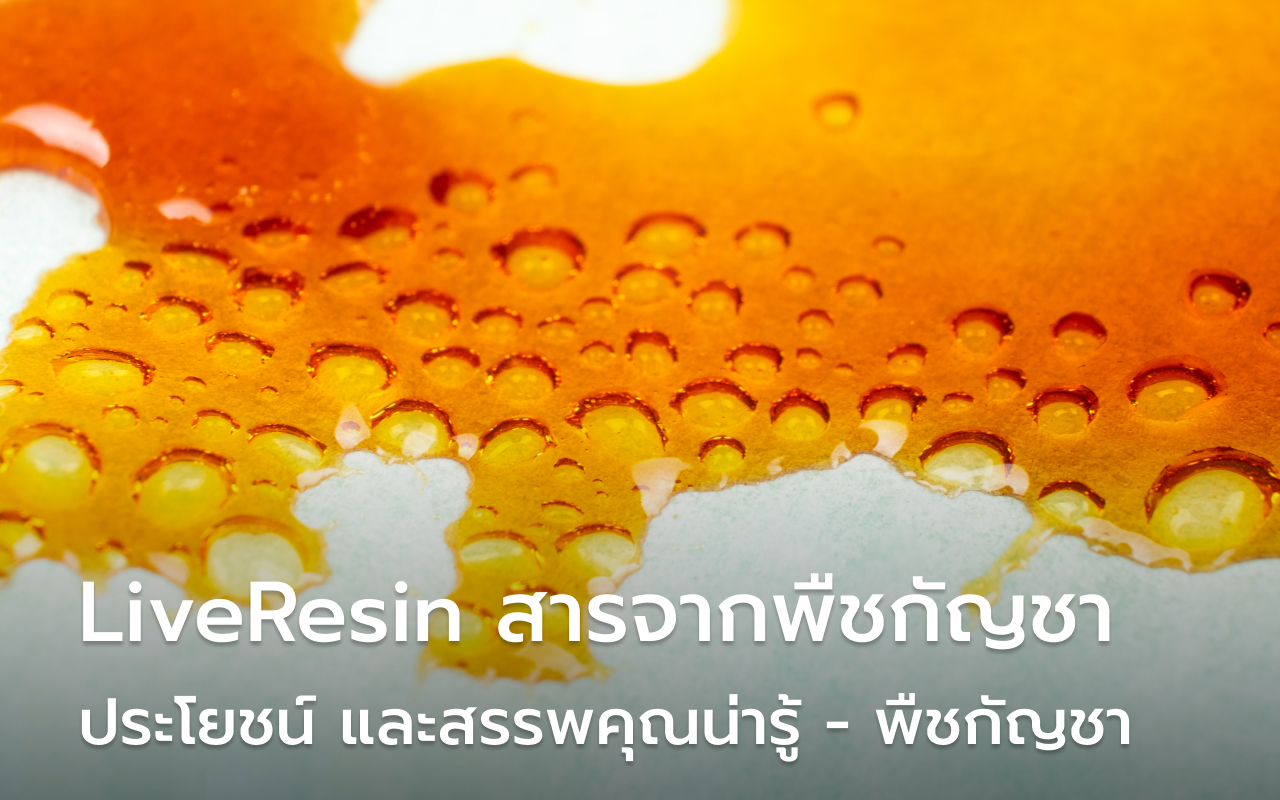 LiveResin