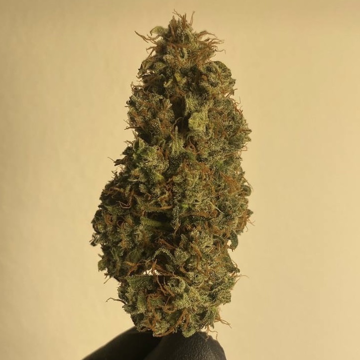 กัญชา, น้ำมันกัญชา, บุหรี่กัญชาไฟฟ้า, กัญชาไฟฟ้า, บุหรี่ไฟฟ้ากัญชา, ขนมกัญชา, เยลลี่กัญชา, กัญชาทางการแพทย์, ขนมอวกาศ, กัญชาVape