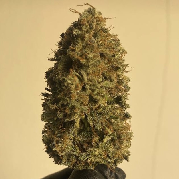 กัญชา, น้ำมันกัญชา, บุหรี่กัญชาไฟฟ้า, กัญชาไฟฟ้า, บุหรี่ไฟฟ้ากัญชา, ขนมกัญชา, เยลลี่กัญชา, กัญชาทางการแพทย์, ขนมอวกาศ, กัญชาVape