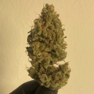 กัญชา, น้ำมันกัญชา, บุหรี่กัญชาไฟฟ้า, กัญชาไฟฟ้า, บุหรี่ไฟฟ้ากัญชา, ขนมกัญชา, เยลลี่กัญชา, กัญชาทางการแพทย์, ขนมอวกาศ, กัญชาVape