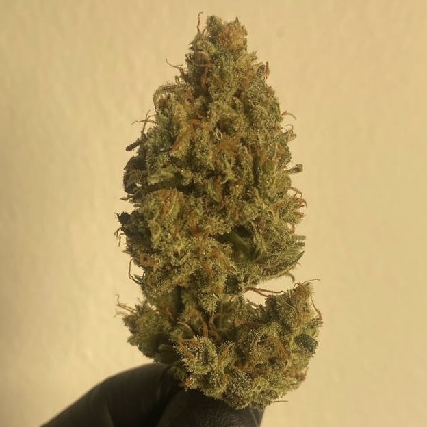 กัญชา, น้ำมันกัญชา, บุหรี่กัญชาไฟฟ้า, กัญชาไฟฟ้า, บุหรี่ไฟฟ้ากัญชา, ขนมกัญชา, เยลลี่กัญชา, กัญชาทางการแพทย์, ขนมอวกาศ, กัญชาVape