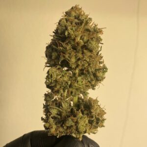 กัญชา, น้ำมันกัญชา, บุหรี่กัญชาไฟฟ้า, กัญชาไฟฟ้า, บุหรี่ไฟฟ้ากัญชา, ขนมกัญชา, เยลลี่กัญชา, กัญชาทางการแพทย์, ขนมอวกาศ, กัญชาVape