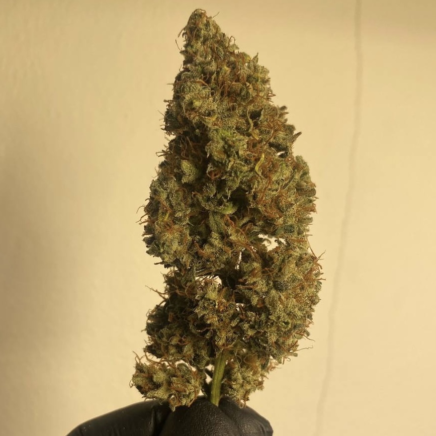 กัญชา, น้ำมันกัญชา, บุหรี่กัญชาไฟฟ้า, กัญชาไฟฟ้า, บุหรี่ไฟฟ้ากัญชา, ขนมกัญชา, เยลลี่กัญชา, กัญชาทางการแพทย์, ขนมอวกาศ, กัญชาVape